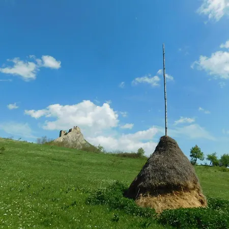 Lodge Wood In The Heart Of Transylvania