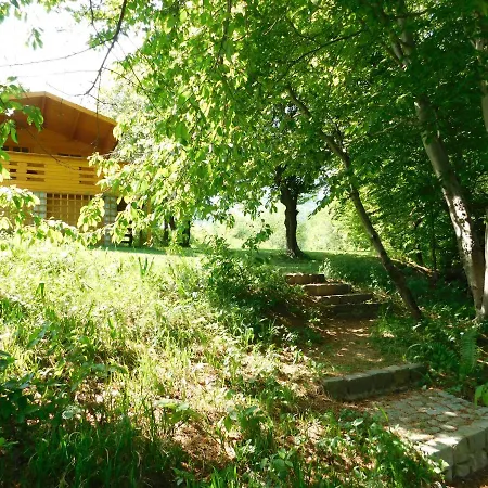 Lodge Wood In The Heart Of Transylvania *