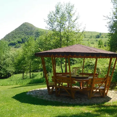 Wood In The Heart Of Transylvania Coltesti