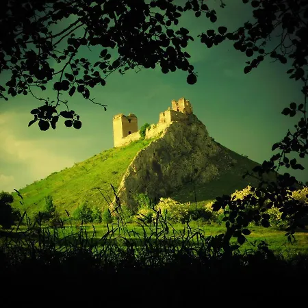 Lodge Wood In The Heart Of Transylvania Coltesti