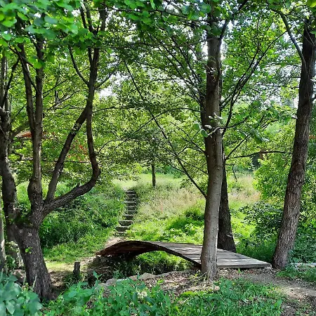 Wood In The Heart Of Transylvania Lodge *