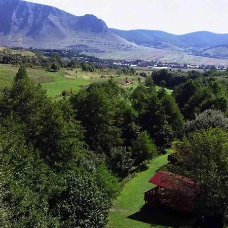 Wood In The Heart Of Transylvania * Coltesti