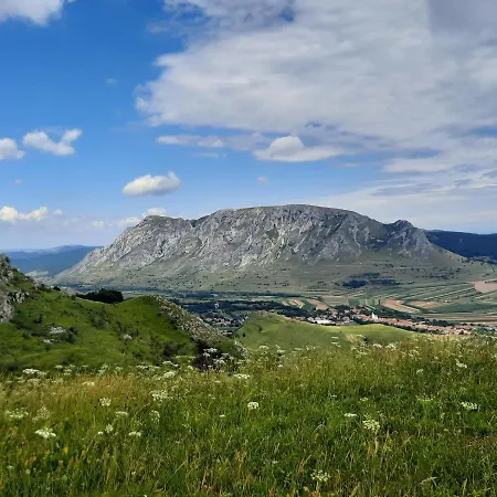 Wood In The Heart Of Transylvania Coltesti