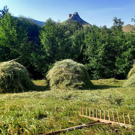 Wood In The Heart Of Transylvania Lodge Coltesti