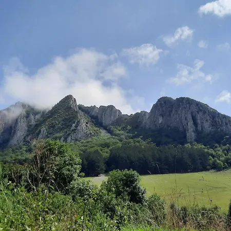 Lodge Wood In The Heart Of Transylvania *