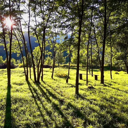 Lodge Wood In The Heart Of Transylvania Coltesti