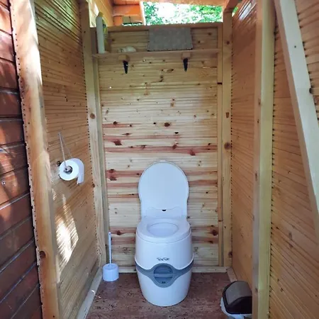 Wood In The Heart Of Transylvania Coltesti