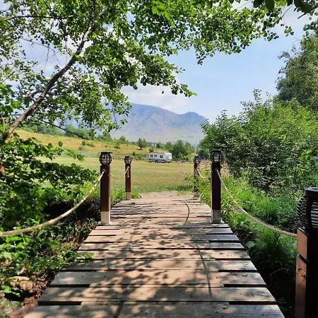 Wood In The Heart Of Transylvania