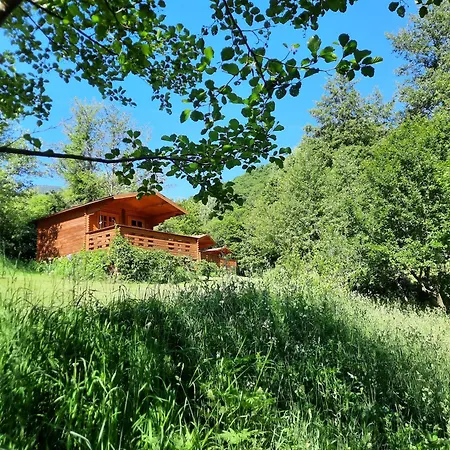 Wood In The Heart Of Transylvania Lodge Coltesti