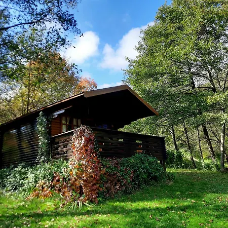 Lodge Wood In The Heart Of Transylvania Coltesti