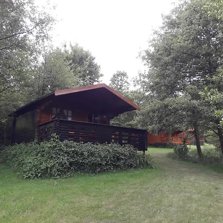 Wood In The Heart Of Transylvania