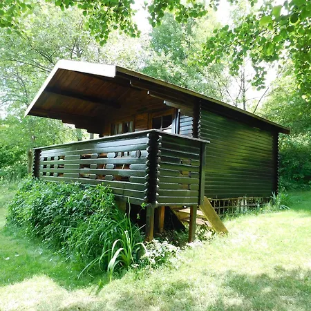 Wood In The Heart Of Transylvania * Coltesti